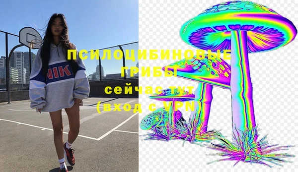 мет Магас
