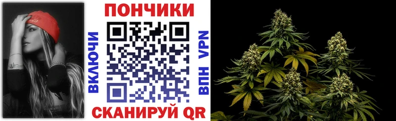 Бошки Шишки гибрид  продажа наркотиков  Кудрово 